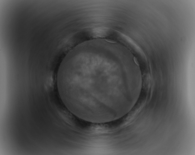 X0000093220655200710101346