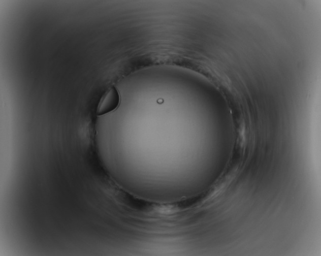 X0000093220659200710101346