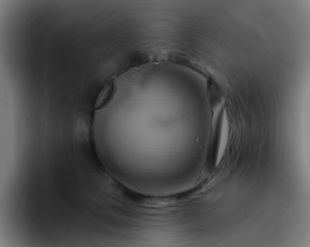 X0000093220661200710101346