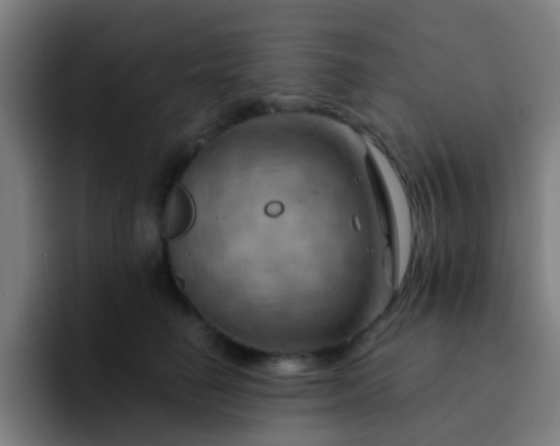 X0000093220662200710101346