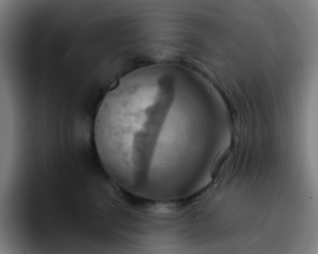 X0000093220664200710101346