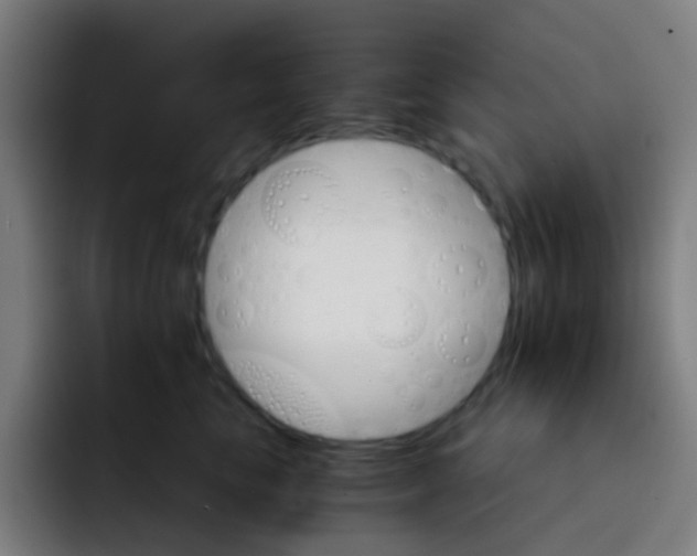 X0000093220665200710101346