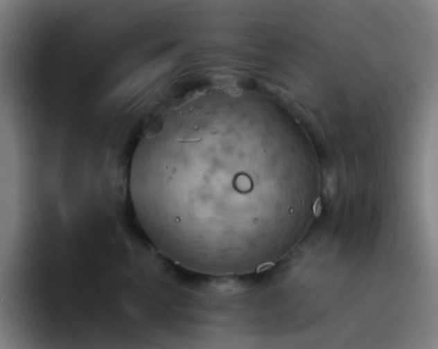 X0000093220666200710101346