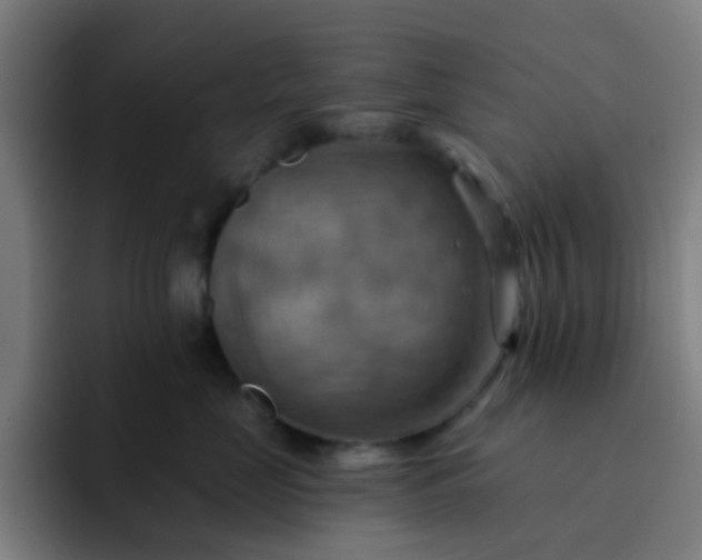 X0000093220669200710101346