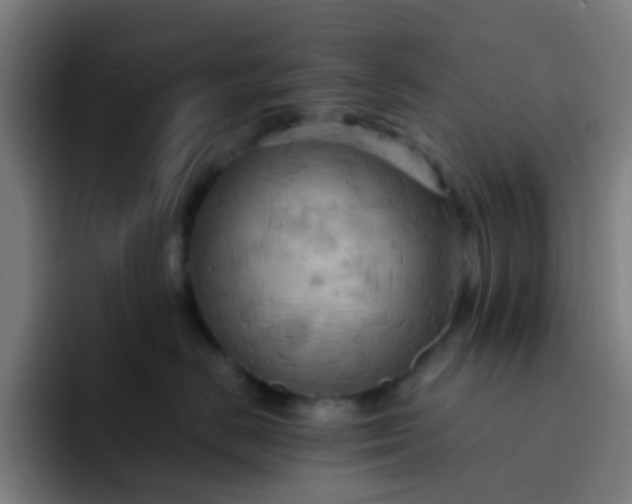 X0000093220670200710101346