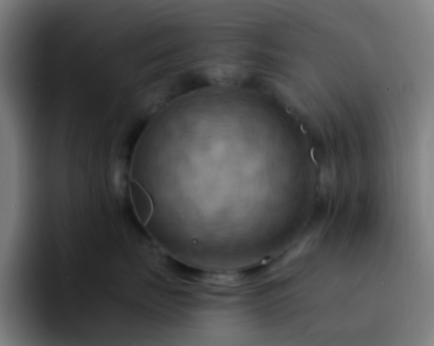 X0000093220671200710101346