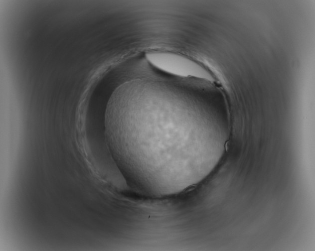 X0000093220673200710101345