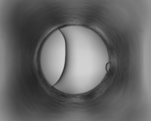 X0000093220674200710101345