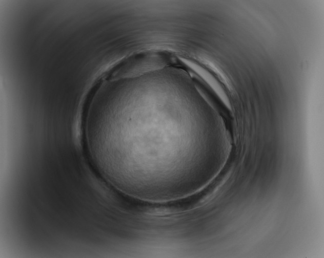 X0000093220677200710101345