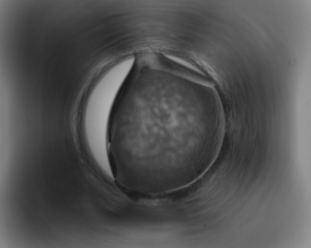 X0000093220679200710101345