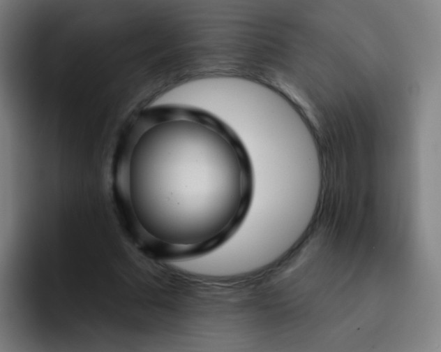 X0000093220681200710101345