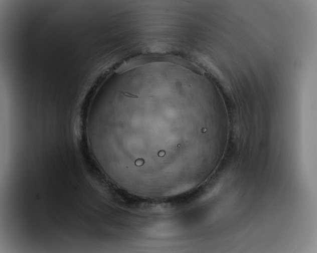 X0000093220683200710101345