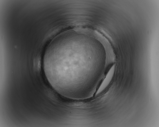 X0000093220685200710101345