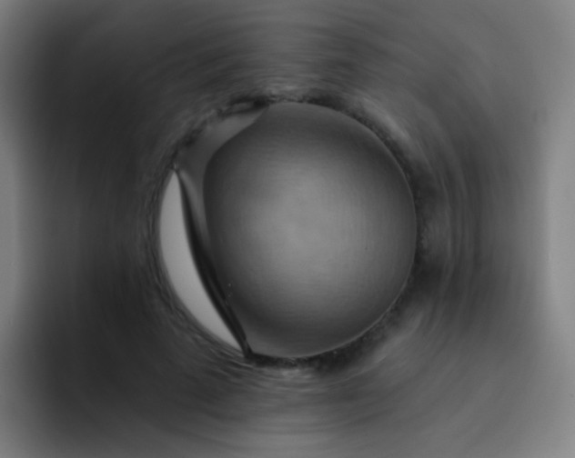 X0000093220689200710101345