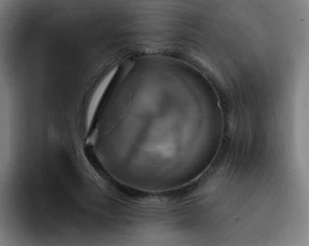 X0000093220691200710101345