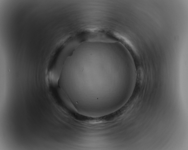 X0000093220692200710101345