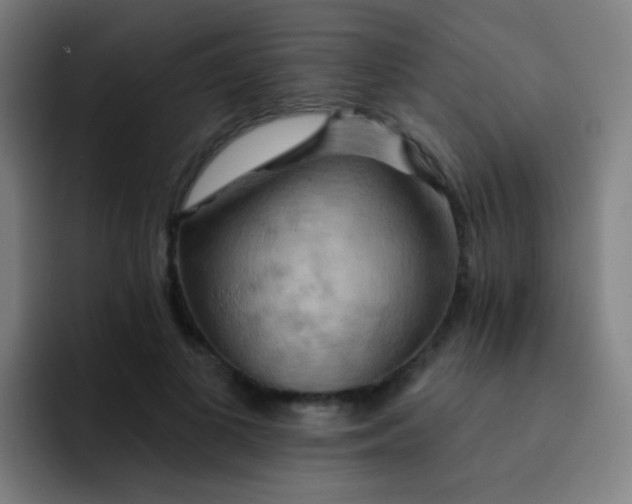 X0000093220693200710101345