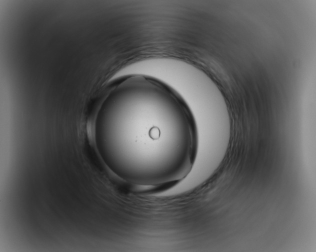 X0000093220697200710101345