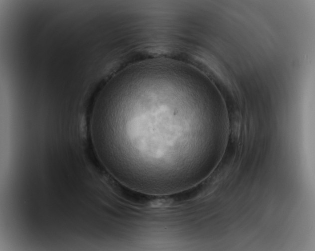 X0000093220700200710101345