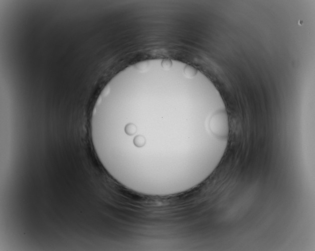 X0000093220702200710101345