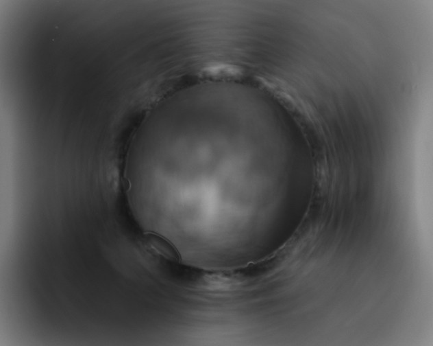 X0000093220703200710101345