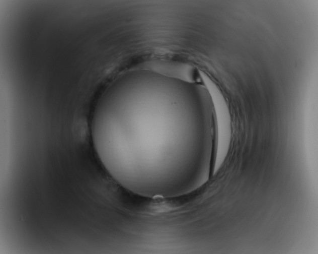 X0000093220704200710101345