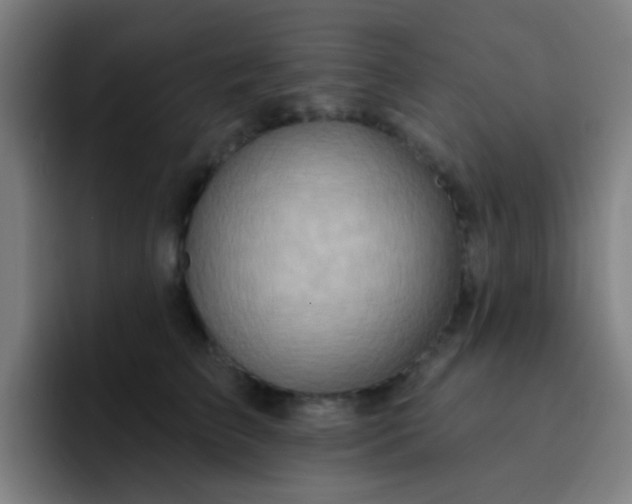 X0000093220709200710101345