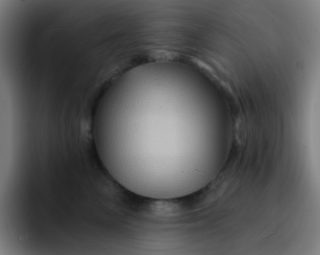 X0000093220714200710101345