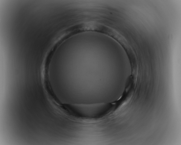 X0000093220722200710101344