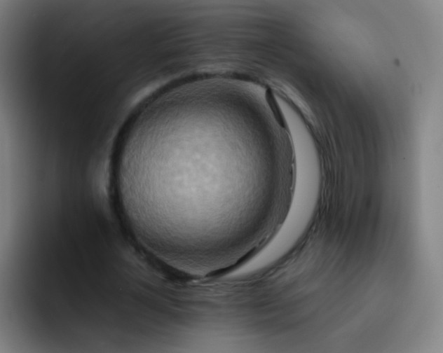 X0000093220724200710101344