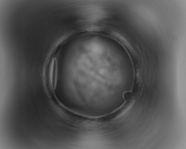 X0000093220725200710101344