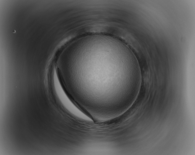 X0000093220727200710101344