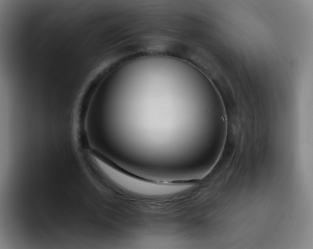 X0000093220728200710101344