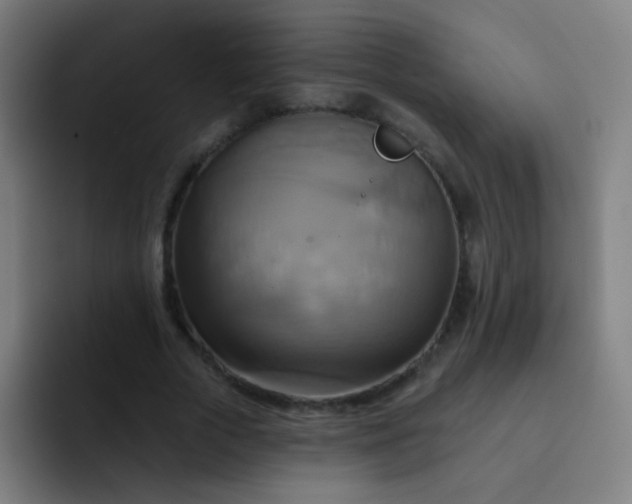 X0000093220729200710101344