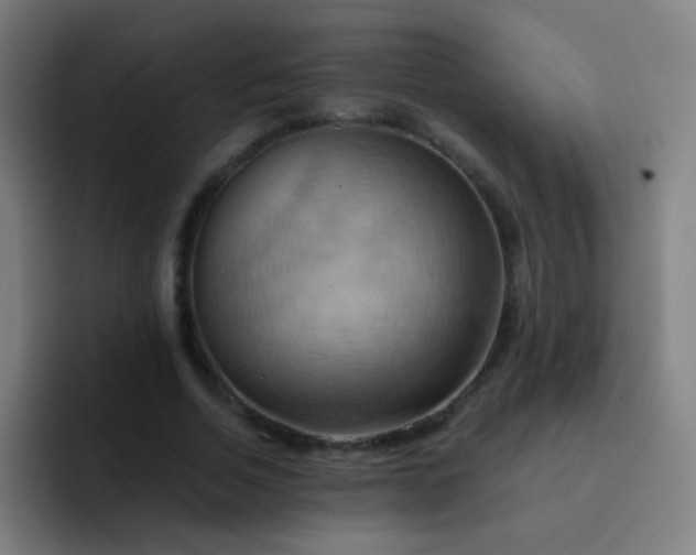 X0000093220730200710101344