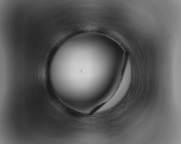 X0000093220732200710101344