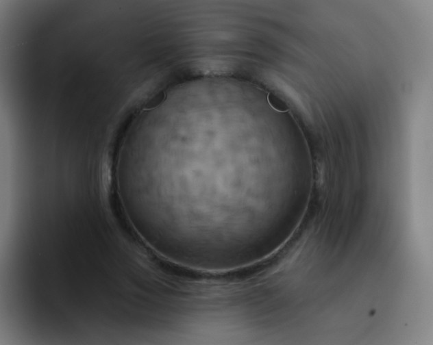 X0000093220733200710101344