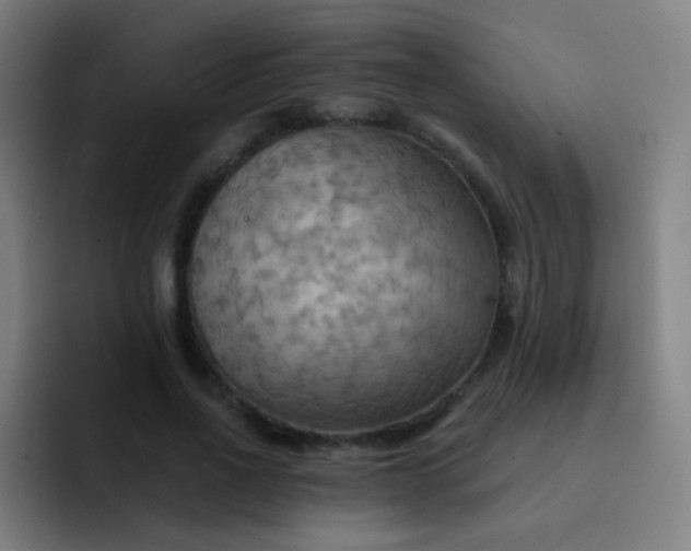 X0000093220734200710101344