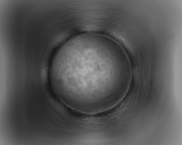 X0000093220735200710101344