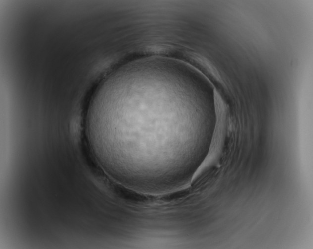 X0000093220736200710101344