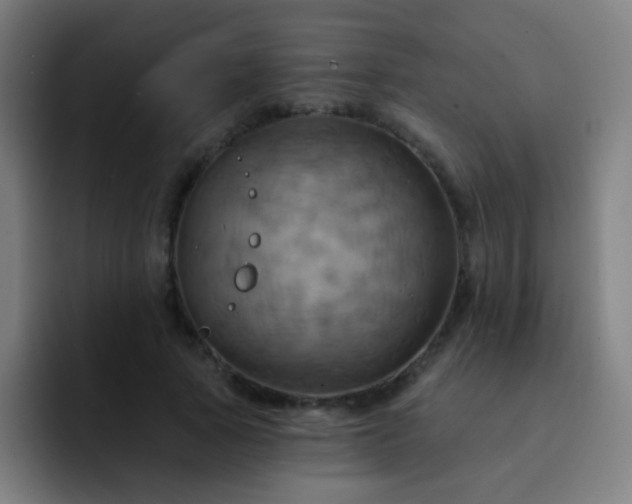 X0000093220737200710101344