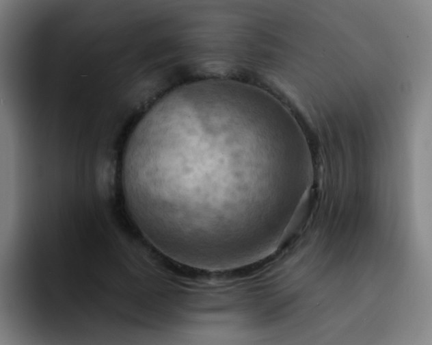 X0000093220739200710101345