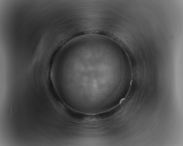 X0000093220742200710101345