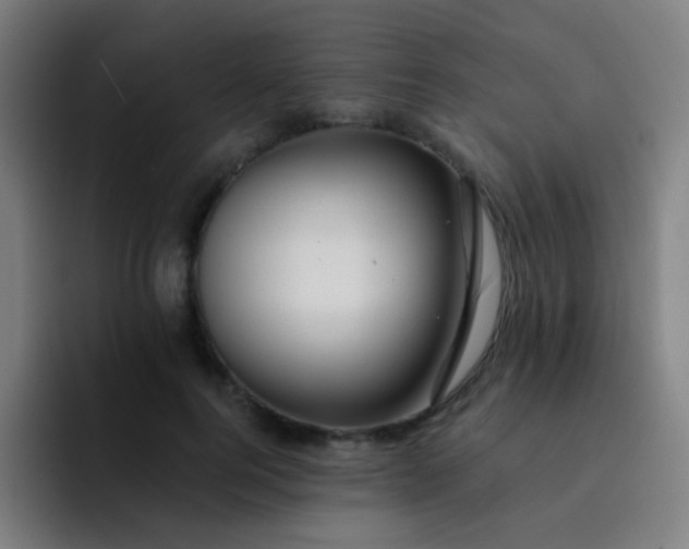 X0000093220744200710101345