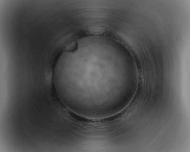 X0000093220745200710101345