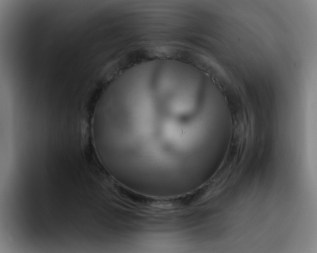 X0000093220749200710101345