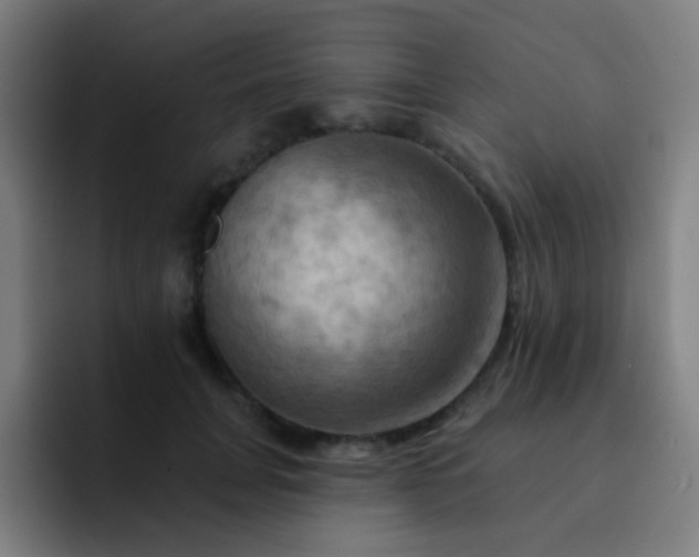 X0000093220751200710101345