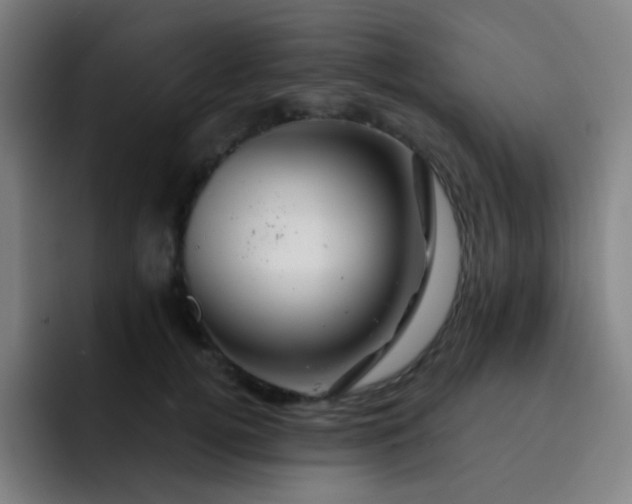 X0000093220752200710101345