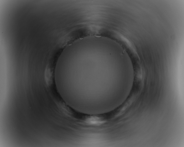 X0000093220759200710101345