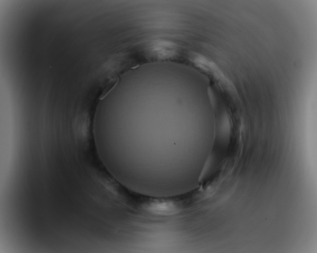 X0000093220760200710101345